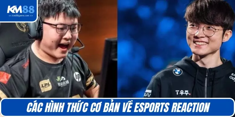 Các hình thức cơ bản về Esports reaction