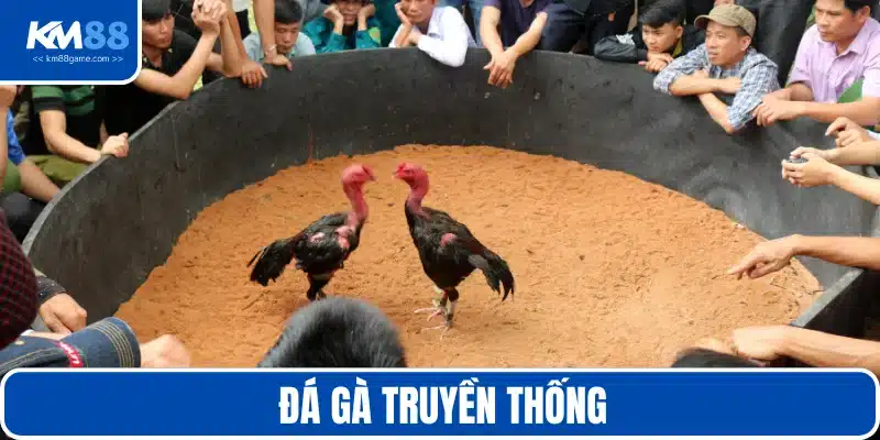 Đá gà truyền thống đơn sơ nhưng vô cùng hấp dẫn